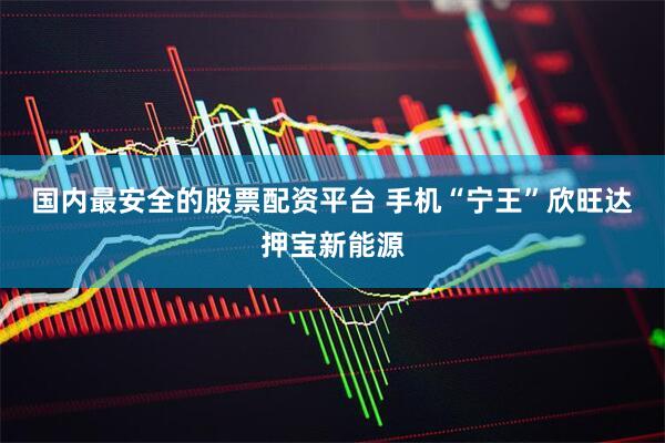 国内最安全的股票配资平台 手机“宁王”欣旺达押宝新能源